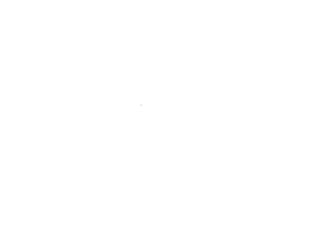 Pilates Evolution Now